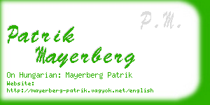 patrik mayerberg business card